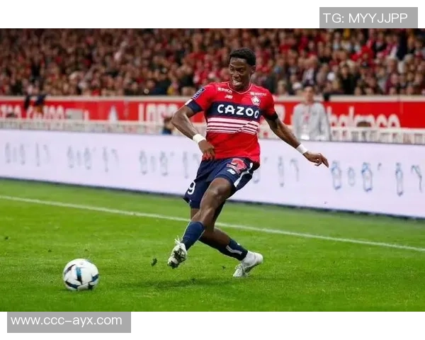 替补二人组约维奇与拉松联手发力合力砍下35分助力球队胜利