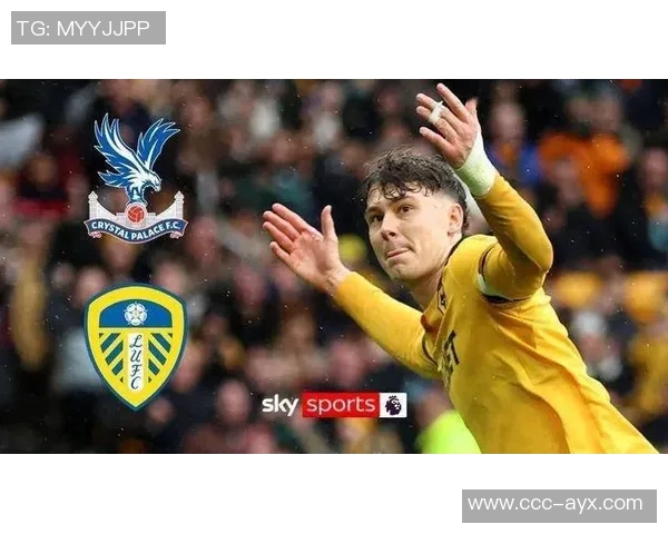 罗马诺曝狼队前锋拉尔森以5000万镑加盟水晶宫交易细节即将确认